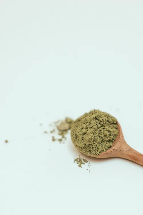 Green tea leaves and extract